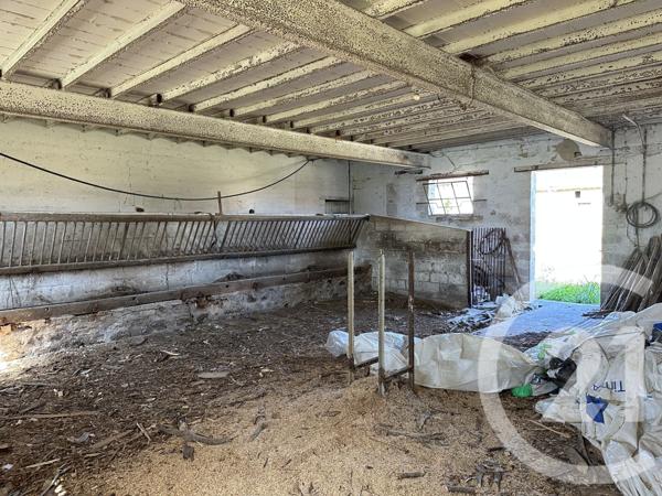 Maison à vendre  6 pièces - 132 m2 SURY ES BOIS - 18