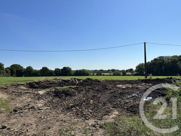 Maison à vendre  6 pièces - 132 m2 SURY ES BOIS - 18