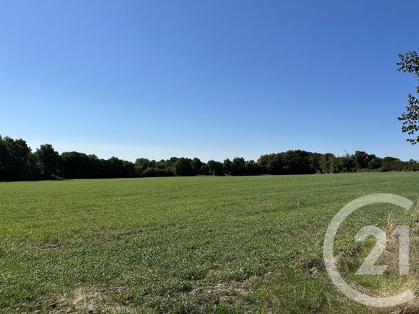 Maison à vendre  6 pièces - 132 m2 SURY ES BOIS - 18