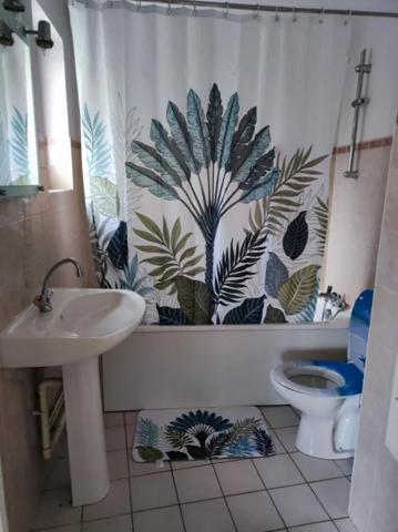 Appartement à louer à Oyonnax (01100)