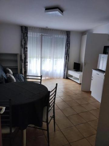 Appartement à louer à Oyonnax (01100)