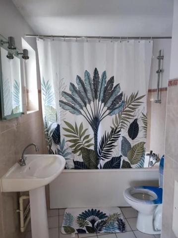 Appartement à louer à Oyonnax (01100)