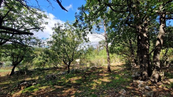 Maison plain pied sur un terrain de 4207 m²
