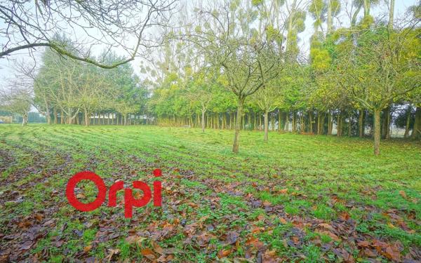 Terrain à vendre    Bernay