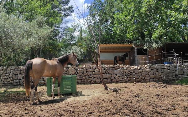 Maison à vendre    6 pièces • 144,33 m2 Salernes