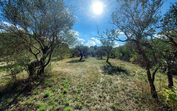 Maison à vendre    6 pièces • 144,33 m2 Salernes