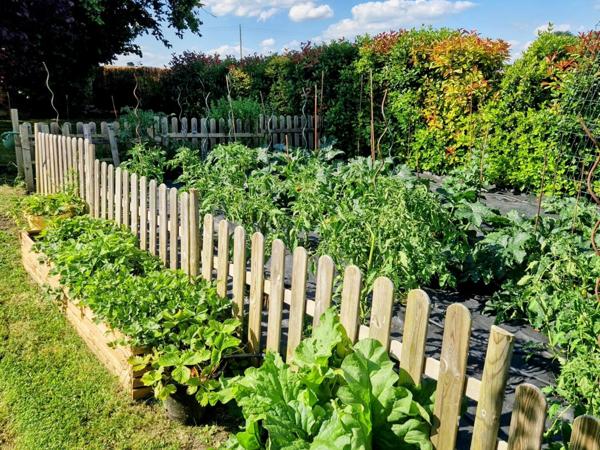 Maison basse consommation de 2021