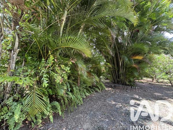Maison à vendre 3 pièces 235 m² Le Morne-Vert