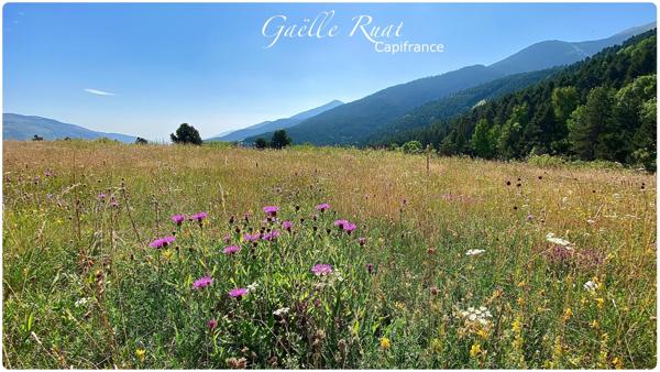 Dpt Pyrénées Orientales (66), à vendre SAINT PIERRE DELS FORCATS terrain - Terrain de 332 m2