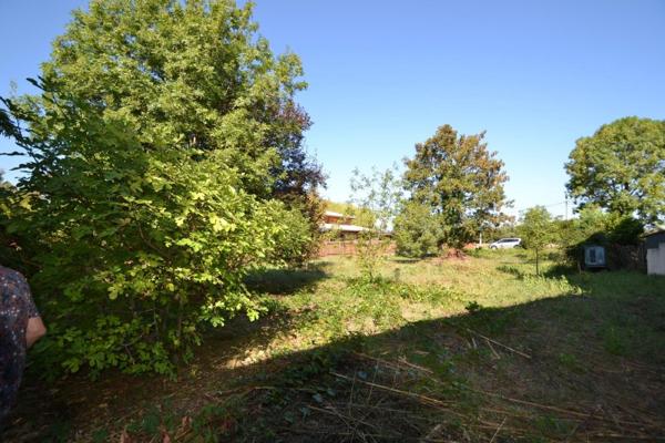 Vente / Terrain