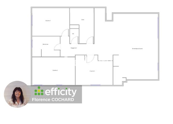 Appartement 4 pièces - 100 m² Exclusivité efficity