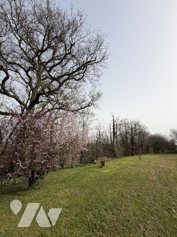 Maison de caractère d'environ 250m² sur 5 hectares avec dépendances