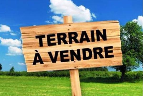 Terrain constructible 2500 m2 à vendre Macouria