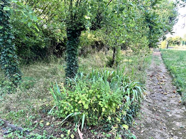 Maison 7 pièces 182 m2 , Challain la potherie