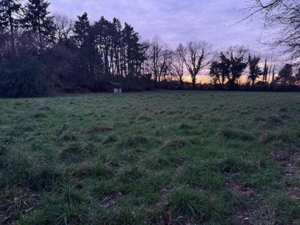 Très beau terrain viabilisé libre de constructeur.