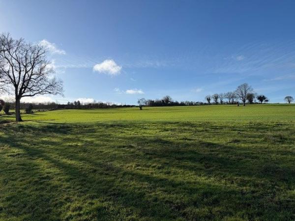 Très beau terrain viabilisé libre de constructeur.