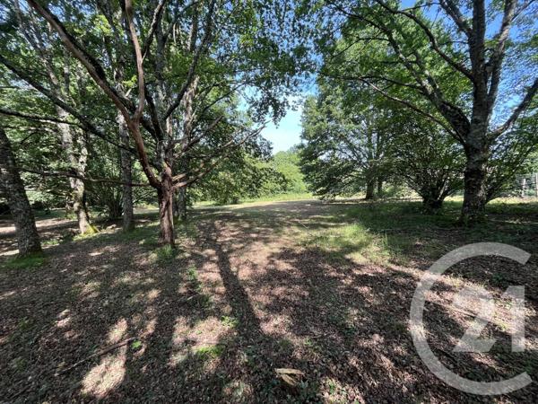 Terrain à vendre  3204 m2 PANAZOL - 87