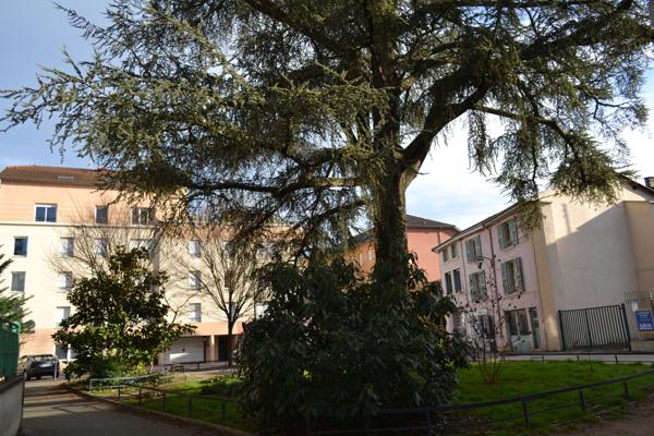 Bourgoin-Jallieu (38300) COUP DE COEUR EN HYPER-CENTRE