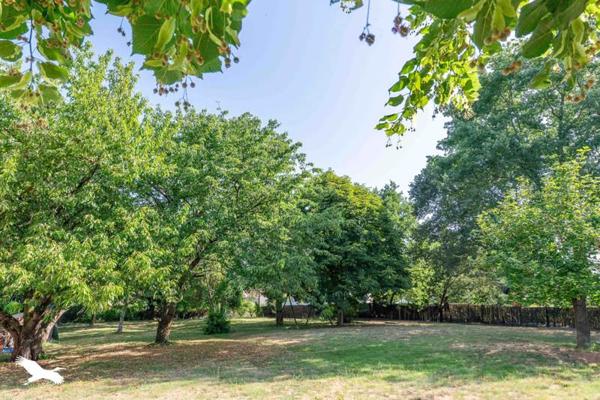 Maison 279 000 € Dieupentale 4 p 135 m² DPE C