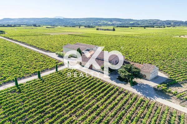 Vente Exceptionnelle d'un Domaine Viticole : Cave à Vin et 2 appartements