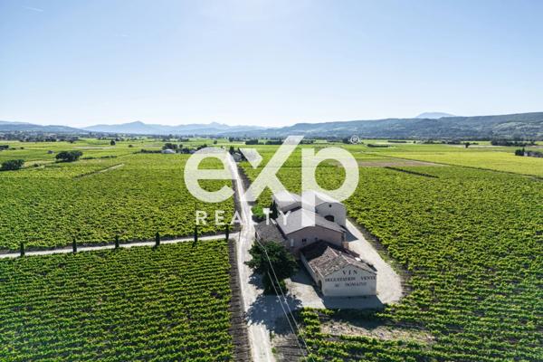 Vente Exceptionnelle d'un Domaine Viticole : Cave à Vin et 2 appartements