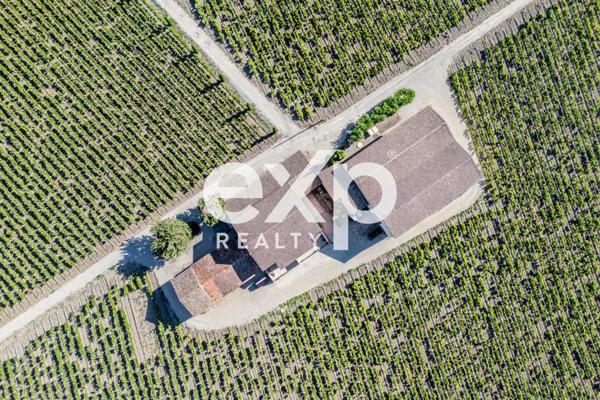 Vente Exceptionnelle d'un Domaine Viticole : Cave à Vin et 2 appartements