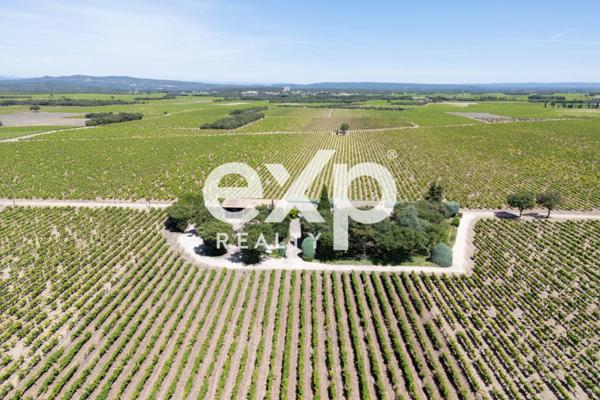 Vente Exceptionnelle d'un Domaine Viticole : Cave à Vin et 2 appartements