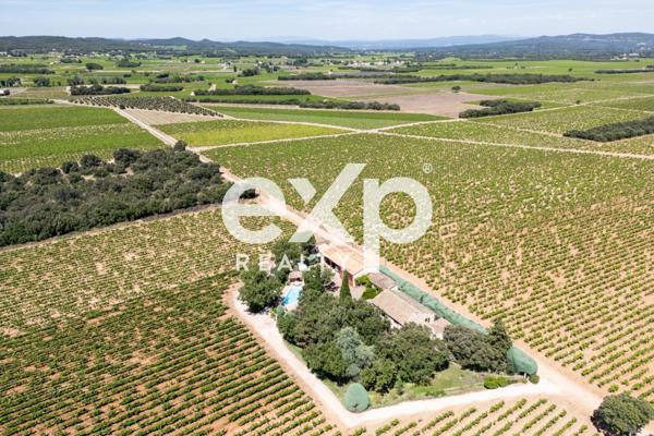 Vente Exceptionnelle d'un Domaine Viticole : Cave à Vin et 2 appartements