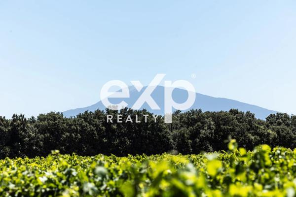 Vente Exceptionnelle d'un Domaine Viticole : Cave à Vin et 2 appartements