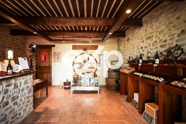 Vente Exceptionnelle d'un Domaine Viticole : Cave à Vin et 2 appartements