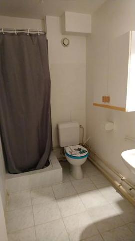 Appartement à louer à Oyonnax (01100)