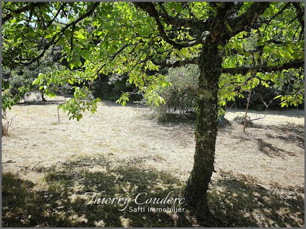 Grand terrain constructible de 4 642 m²