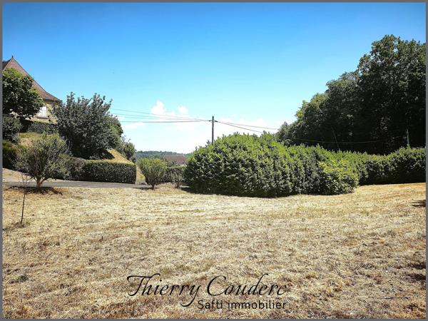 Grand terrain constructible de 4 642 m²
