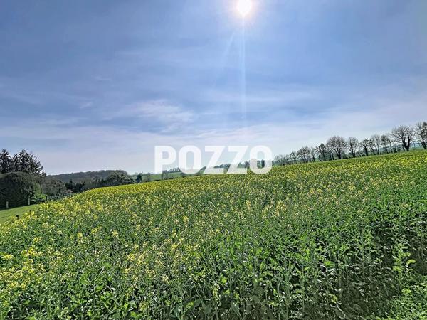A Vendre - Mortain Bocage - Maison 4 pièce(s) 107.45 m² - CORP DE FERME - MAISON - POULLAILER - BATIMENTS - DEPENDANCES MORTAIN BOCAGE
