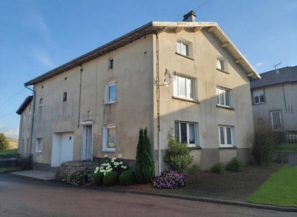 Maison à vendre 4 pièces proche EPINAL (88) avec partie dépendances et terrain de 532 m2