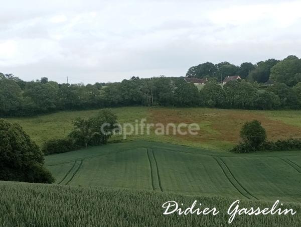 Terrain à vendre  BRUNELLES (28)