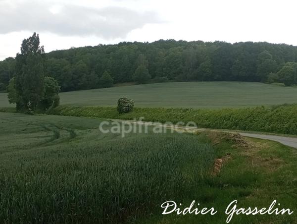 Terrain à vendre  BRUNELLES (28)