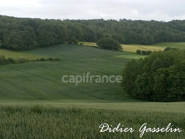 Terrain à vendre  BRUNELLES (28)