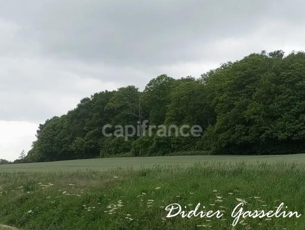 Terrain à vendre  BRUNELLES (28)