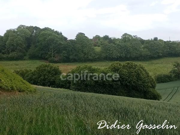 Terrain à vendre  BRUNELLES (28)