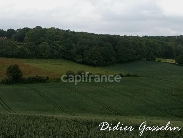 Terrain à vendre  BRUNELLES (28)