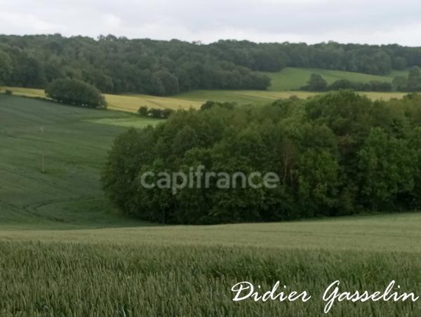 Terrain à vendre  BRUNELLES (28)