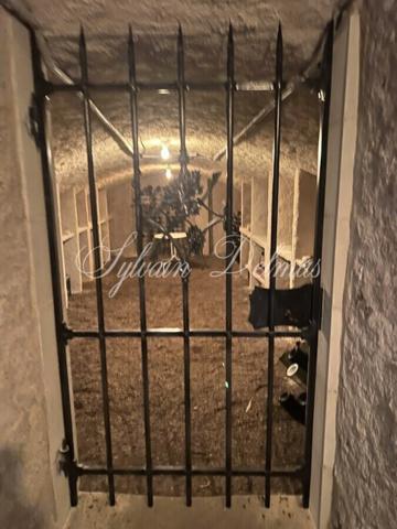 Maison à vendre 8 pièces SAINT CYR SUR LOIRE (37)