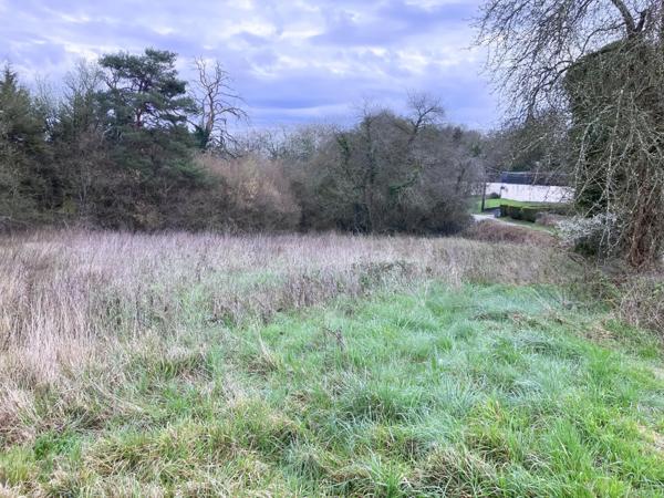 Donnez vie à tout vos projets grace à ce terrain constructible d'environ 1180m2.