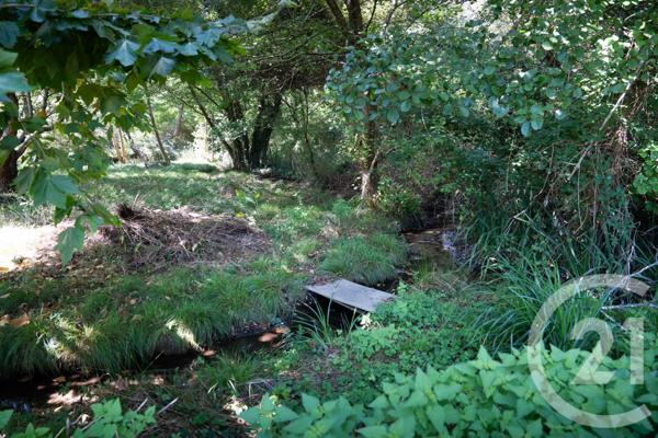 Maison à vendre  8 pièces - 178,50 m2 BENESSE MAREMNE - 40