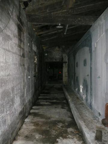 ⚜ BURIE (17) A Vendre CORPS de FERME et Ses Nombreuses Dépendances ⚜