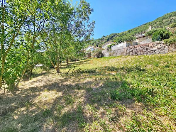 Grand terrain constructible aux Cazes