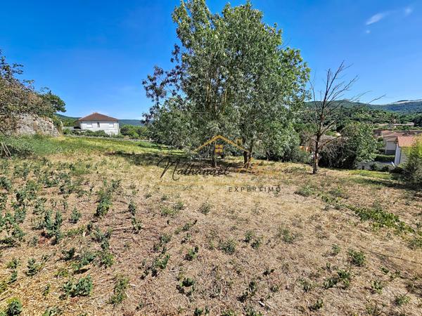 Grand terrain constructible aux Cazes