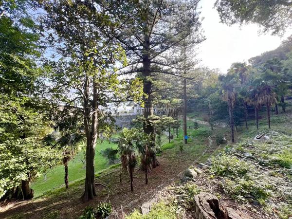 Vente Maison 6 pièces 160 m2 à Bastia