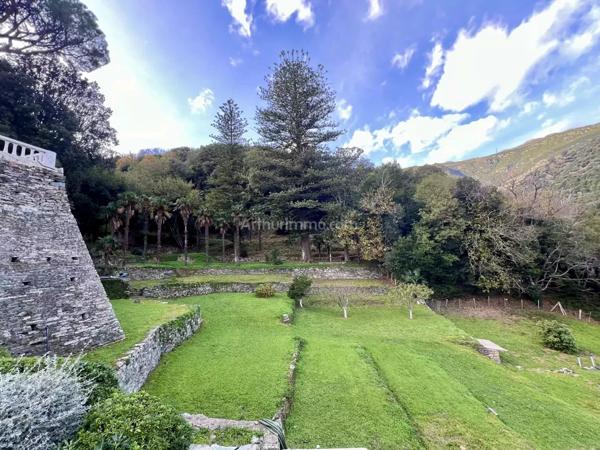 Vente Maison 6 pièces 160 m2 à Bastia